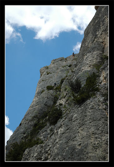 Les gorges de la Jonte